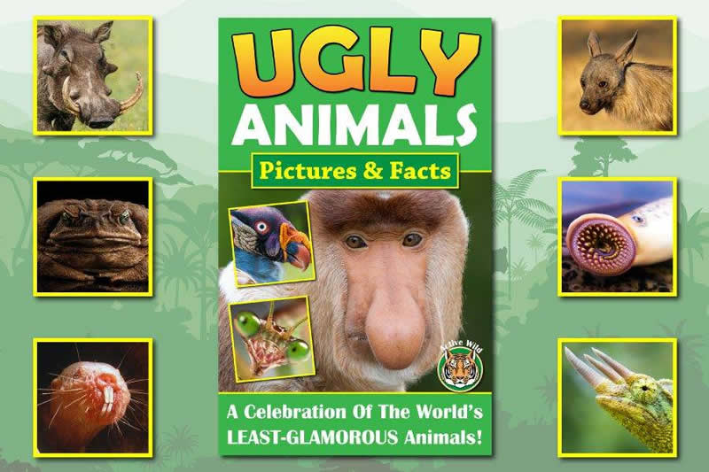 Ugly Animals Book