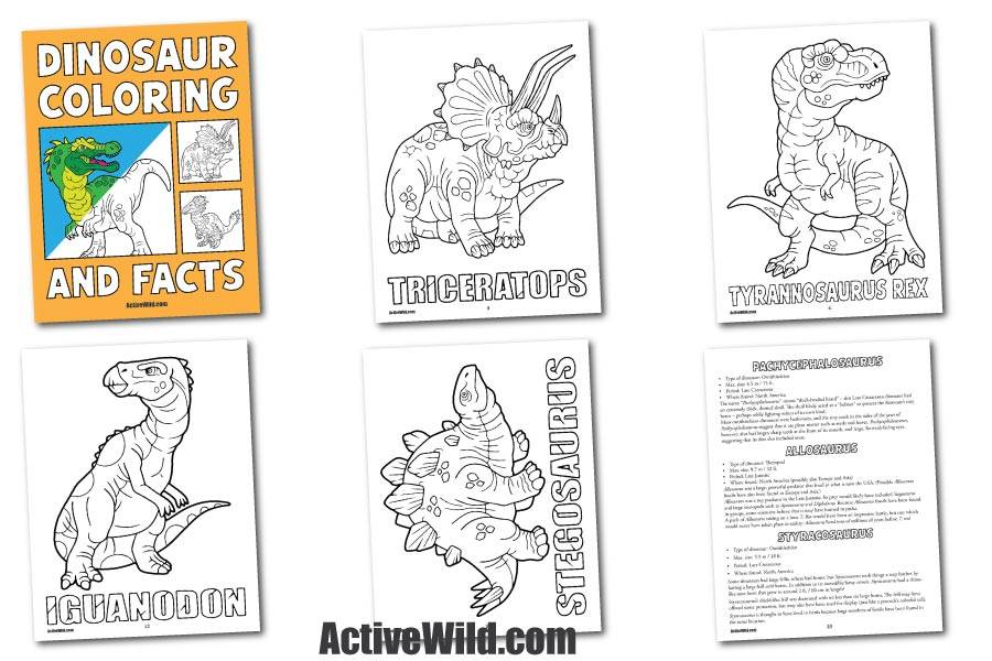 Dinosaur Coloring And Facts Book Sample Pages