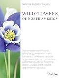 National Audubon Society Wildflowers of North America (National Audubon Society Complete Guides)