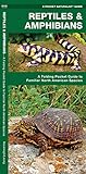 Reptiles & Amphibians: A Folding Pocket Guide to Familiar North American Species (Wildlife and Nature Identification)