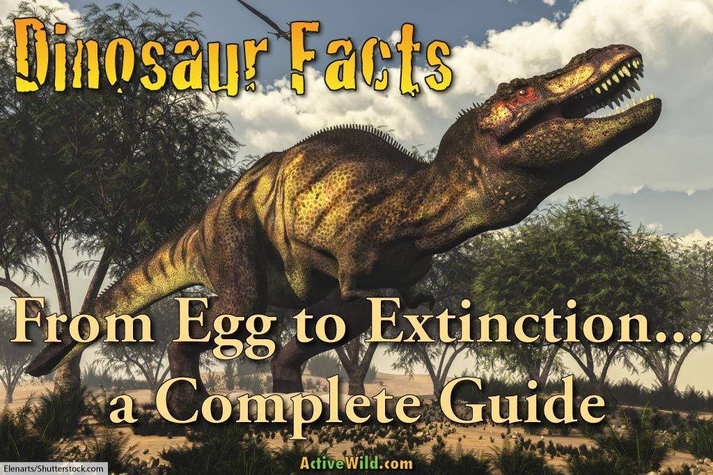 dinosaur facts