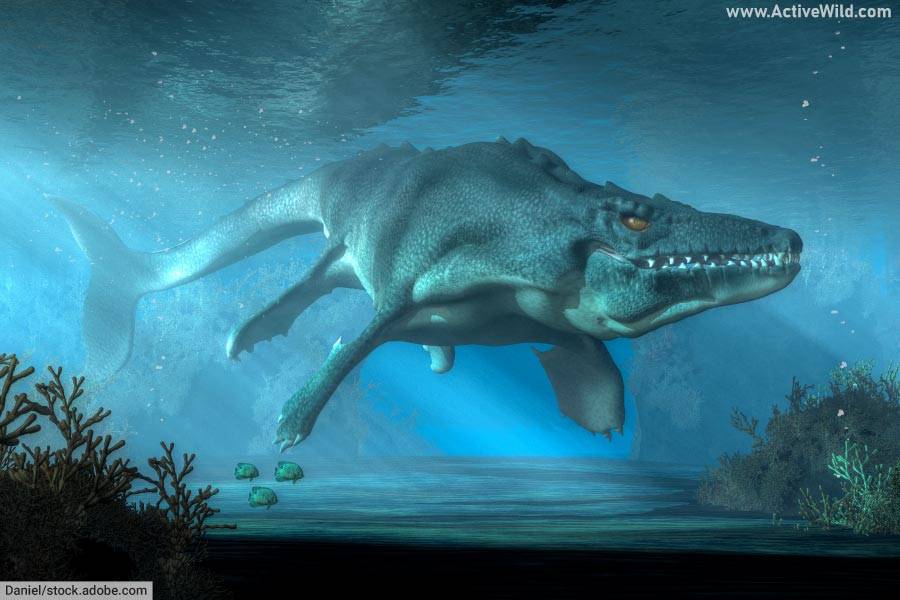 Mosasaurus swimming