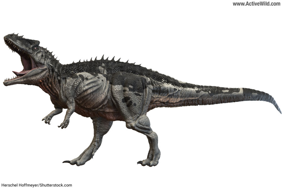 Acrocanthosaurus