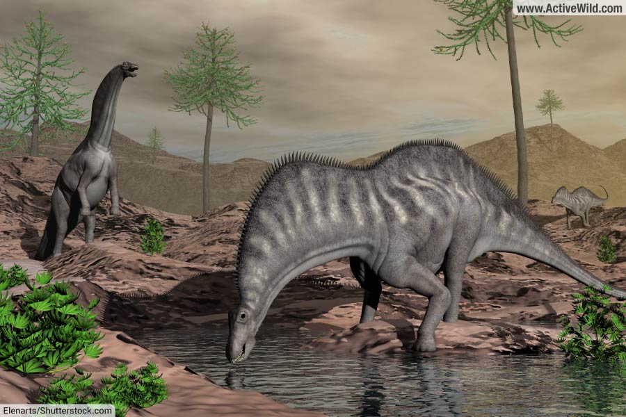 Amargasaurus