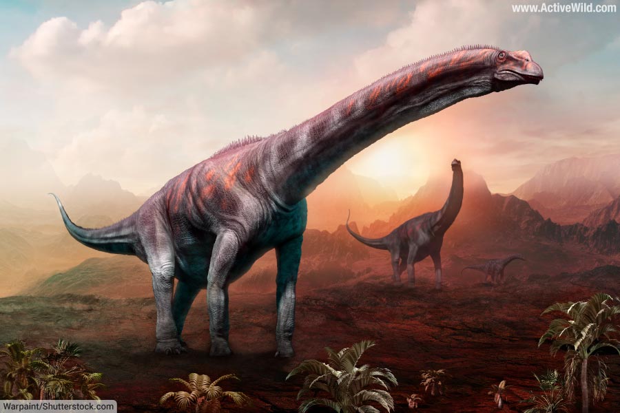 Argentinosaurus