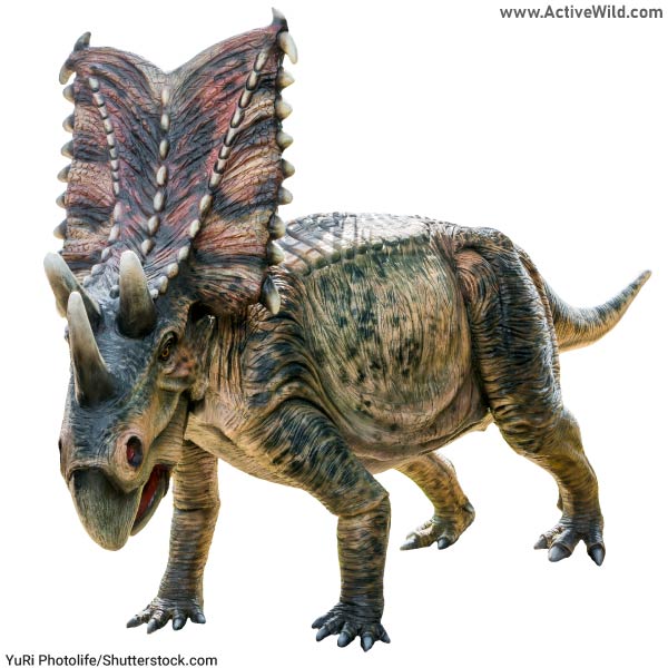 Chasmosaurus