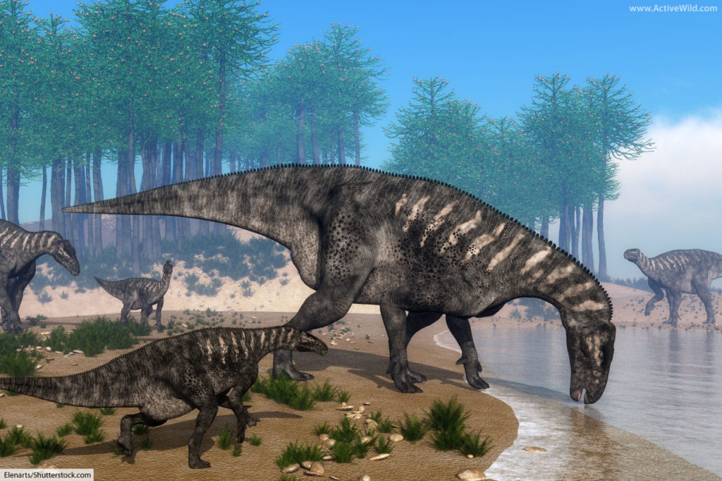 Iguanodon feeding by lake