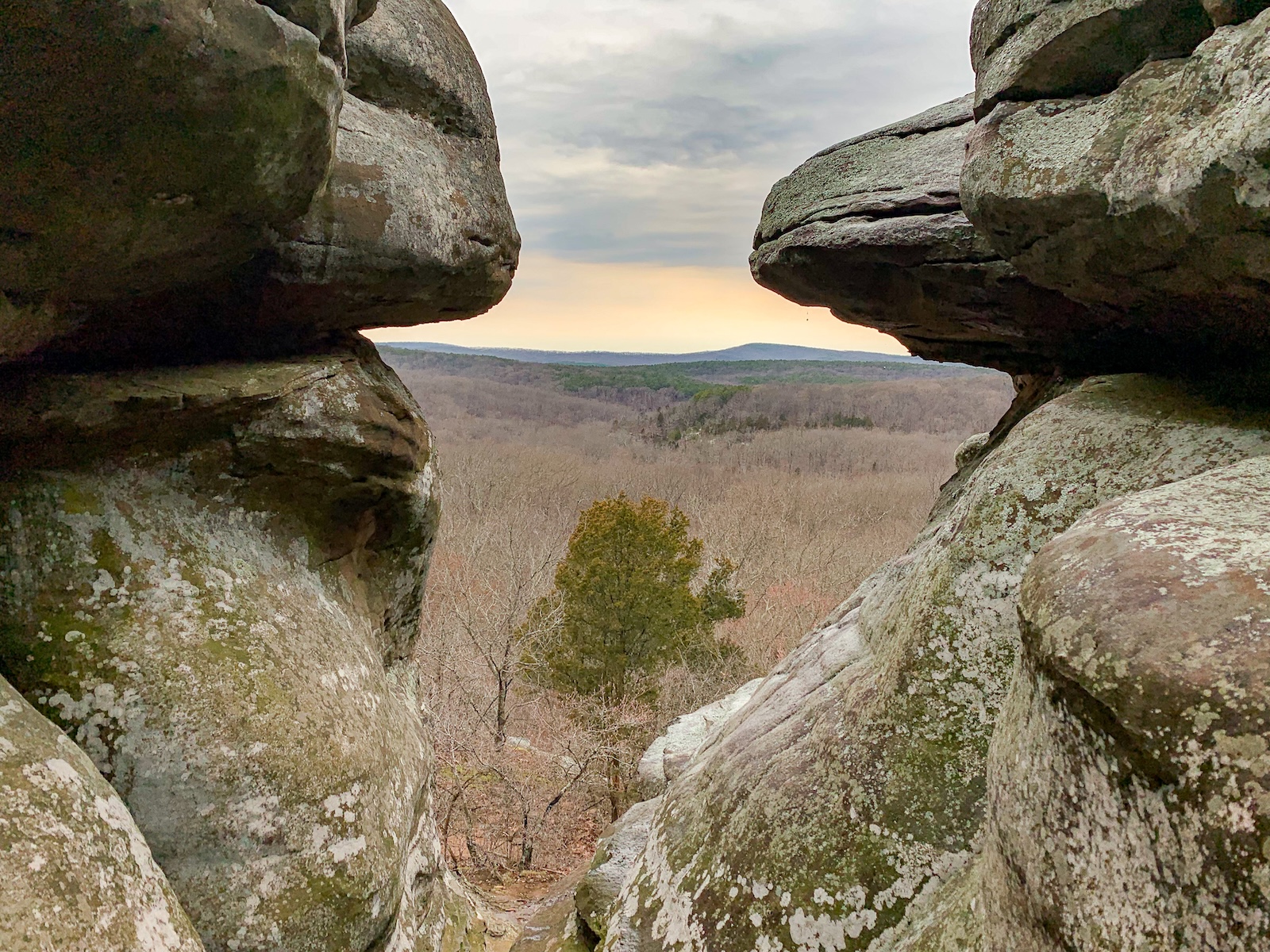 a tree is visible beyond two rock formations