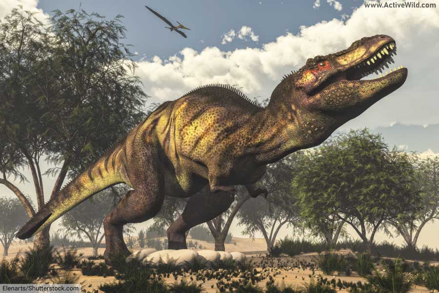 tyrannosaurus rex