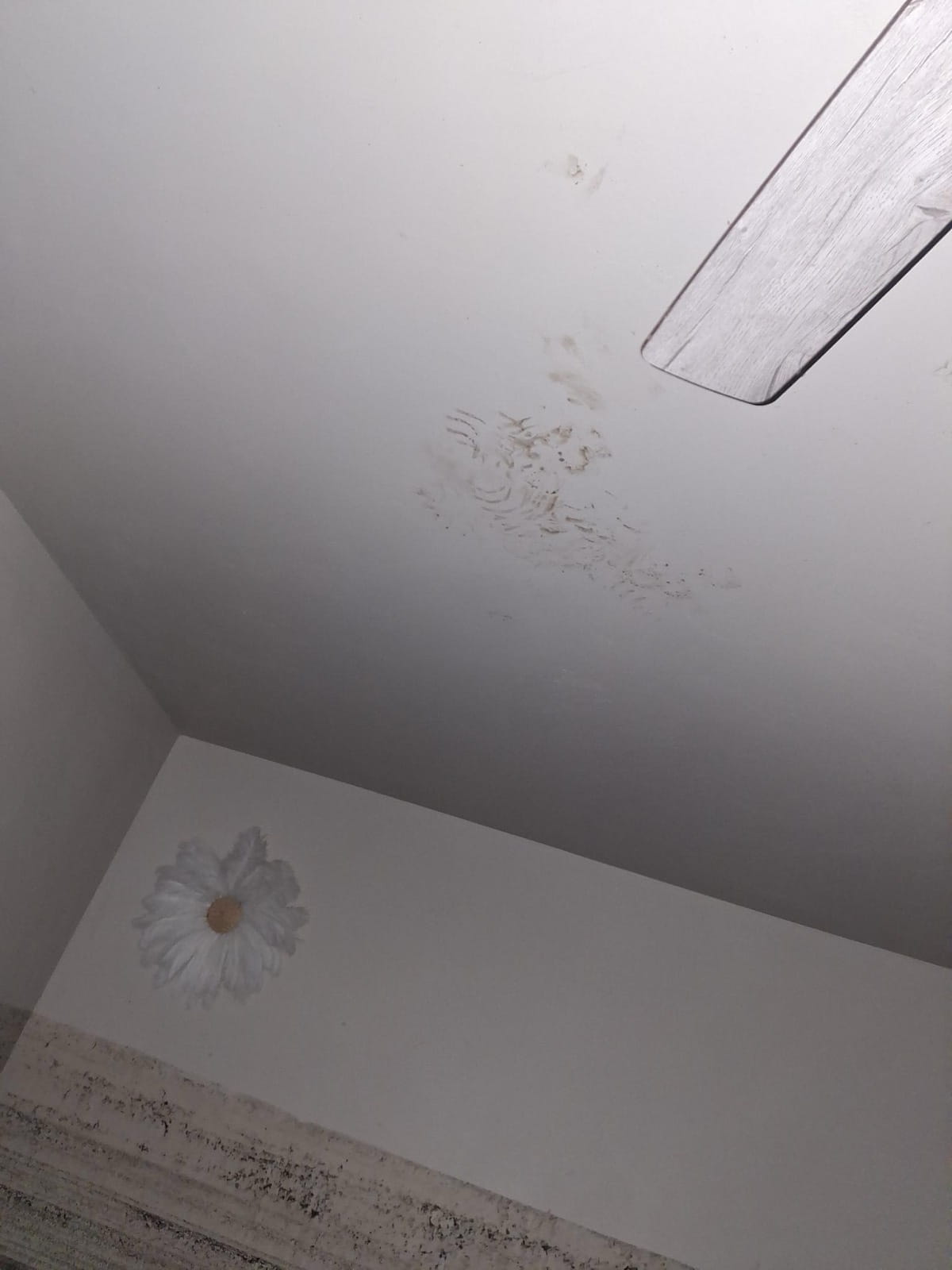 Smudges and dirt marks appear on a white ceiling next to a fan blade, above a wall featuring a painted daisy decoration.