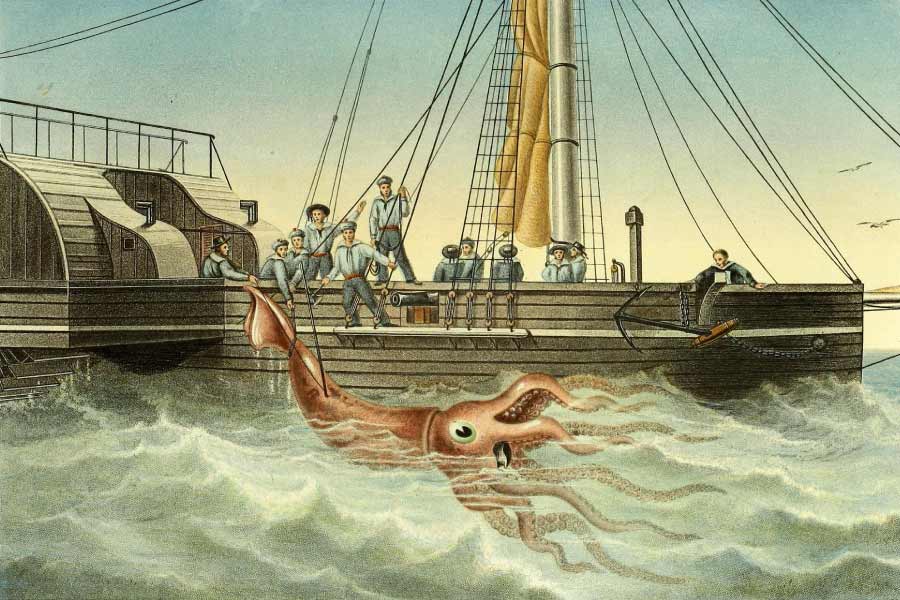 Giant Squid Vintage Illustration