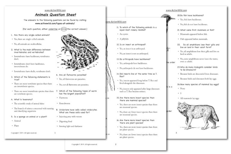 Types Of Animals – Major Animal Groups With Examples & Pictures