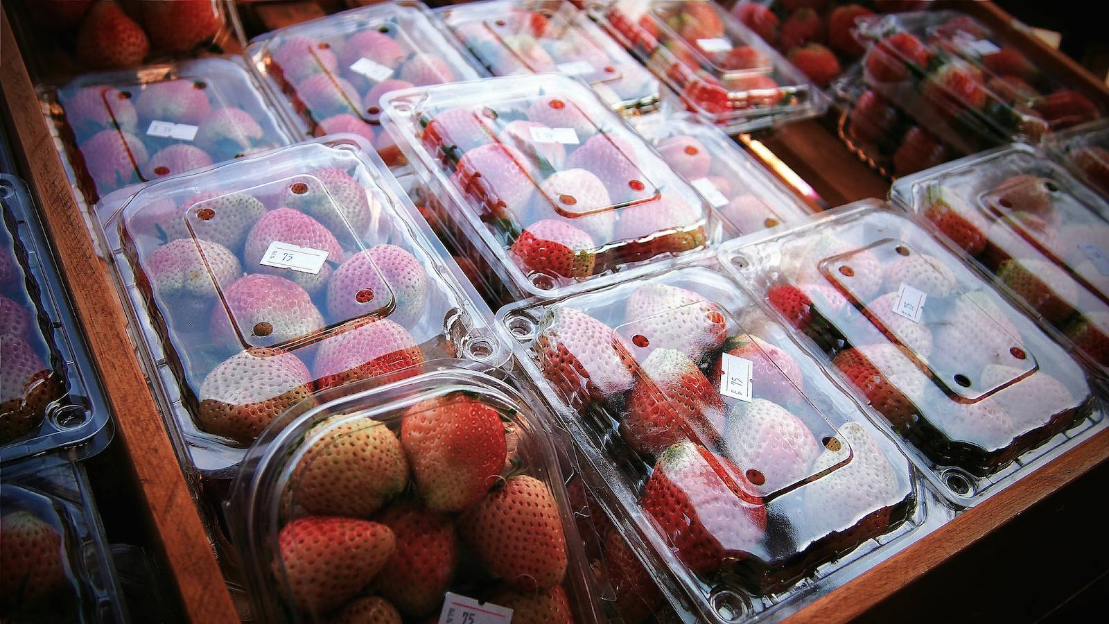 Strawberries in plastic clamshells