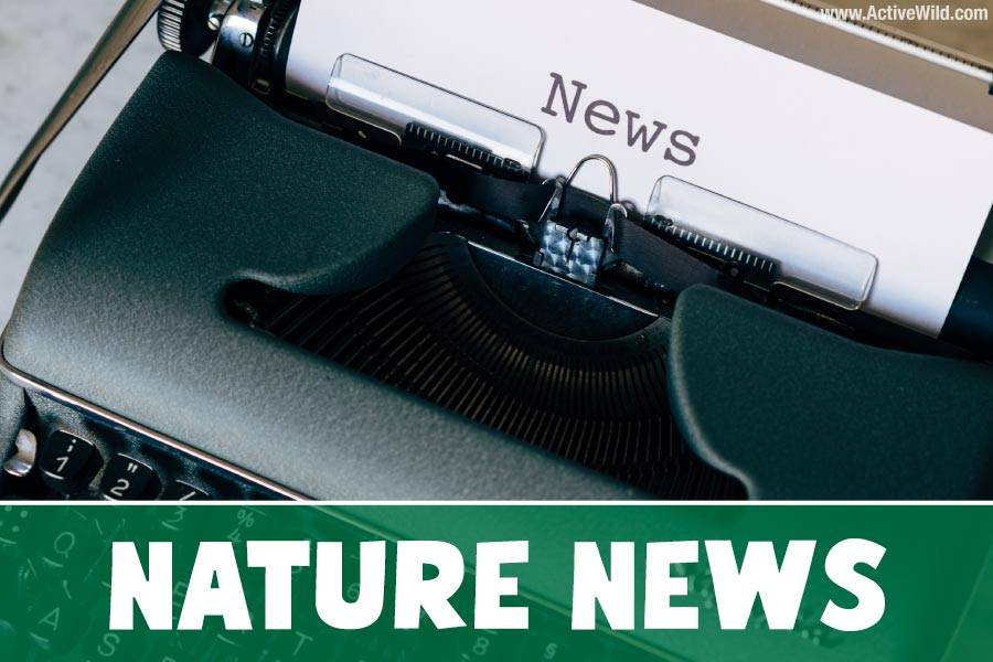 Explore Nature News typewriter