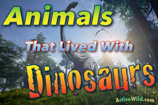 animals that lived with dinosaurs