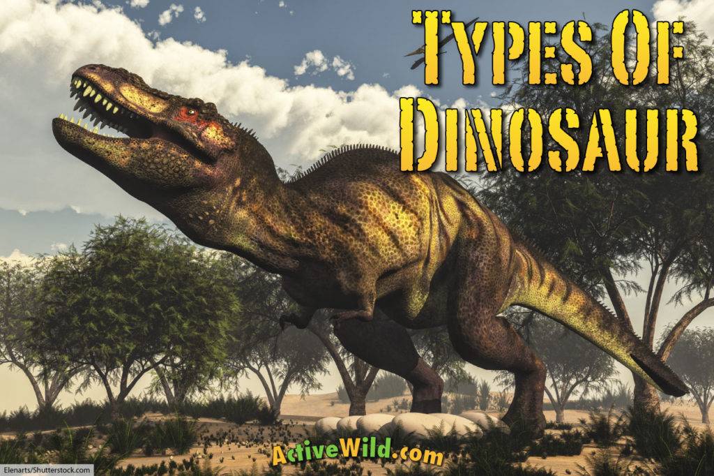 Types of dinosaurs