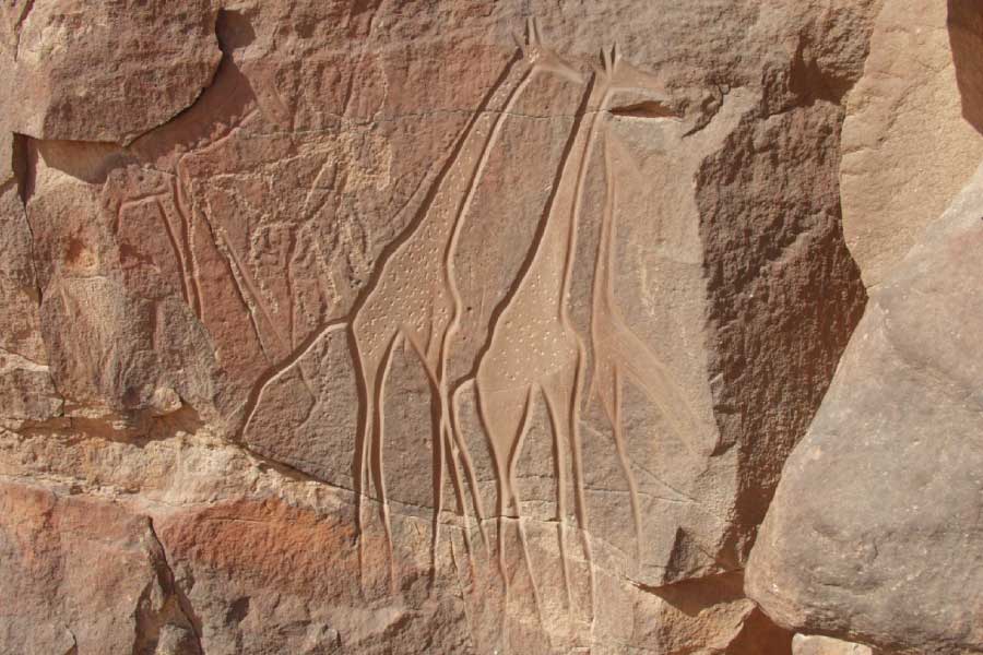 Sahara Desert Rock Art