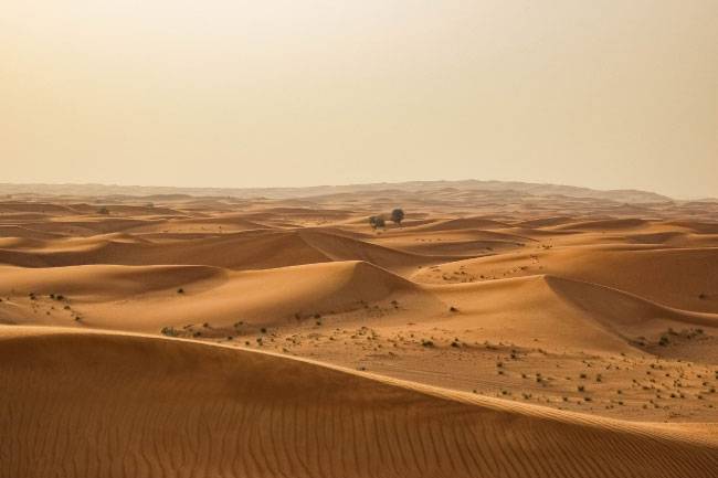 Sahara Desert Scenery