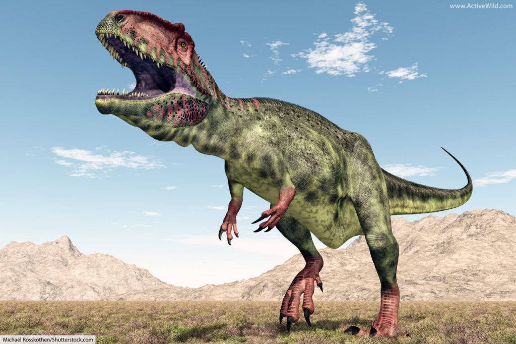Giganotosaurus Carcharodontosaurid