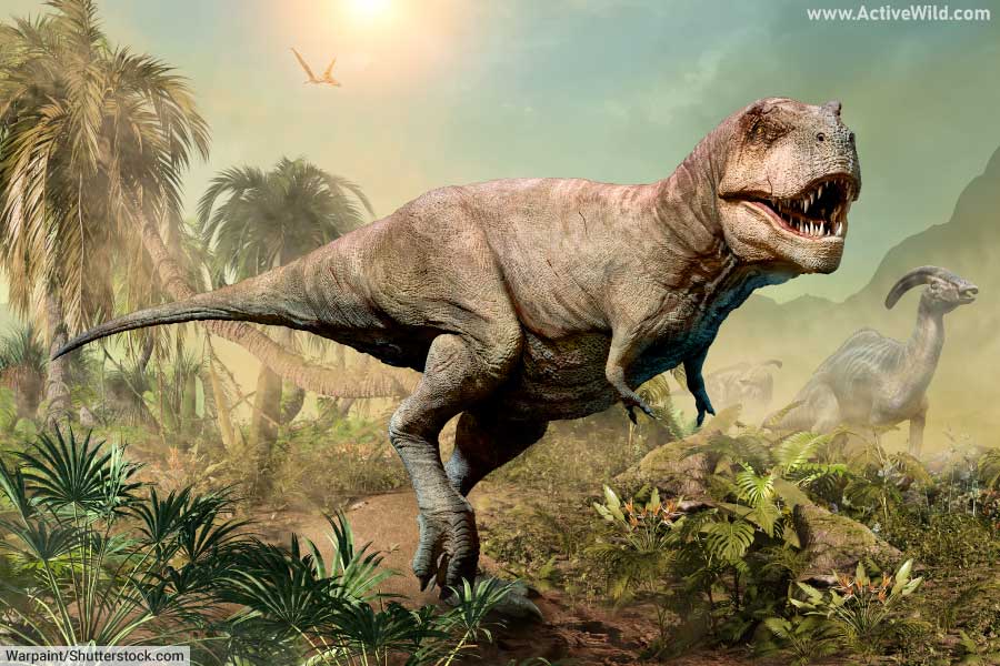 Tyrannosaurus rex and Parasaurolophus