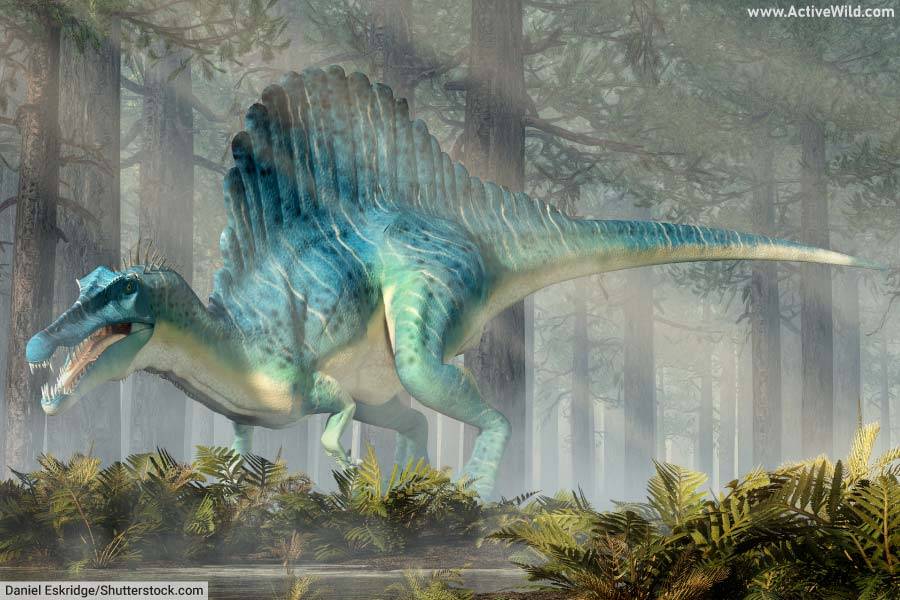 Spinosaurus