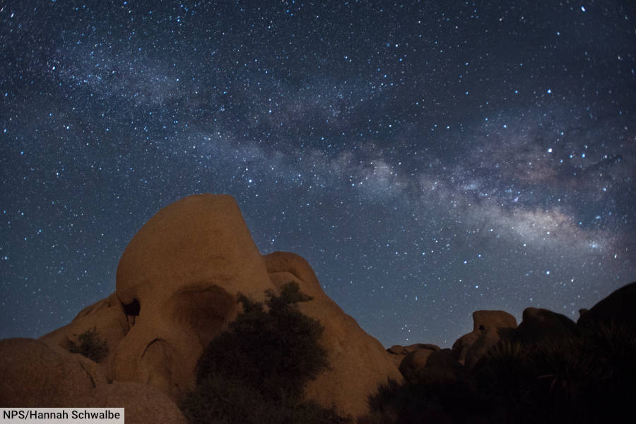 The Milky Way Galaxy