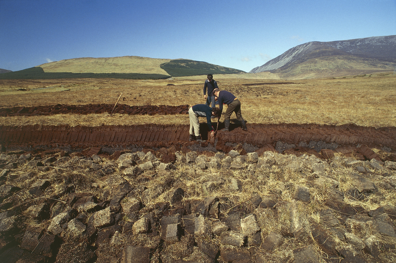 a landscape shot of three people cutting peat in a dry bog