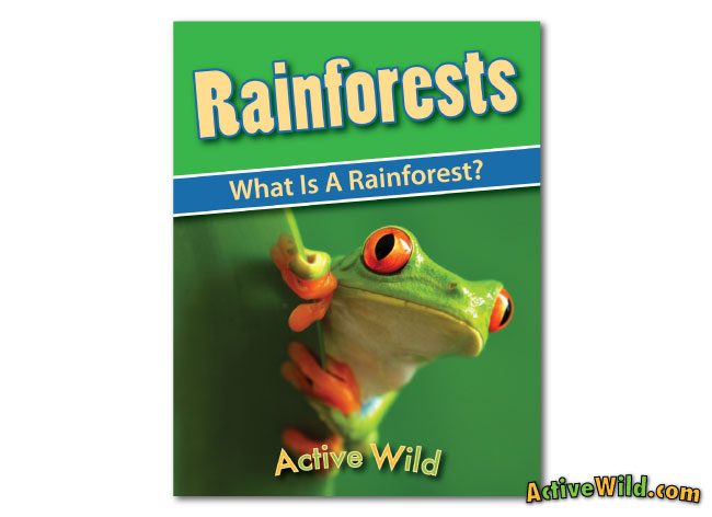 printable rainforest workbook cover what is a rainforest