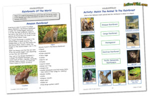 rainforest-printable-workbook-sample-pages