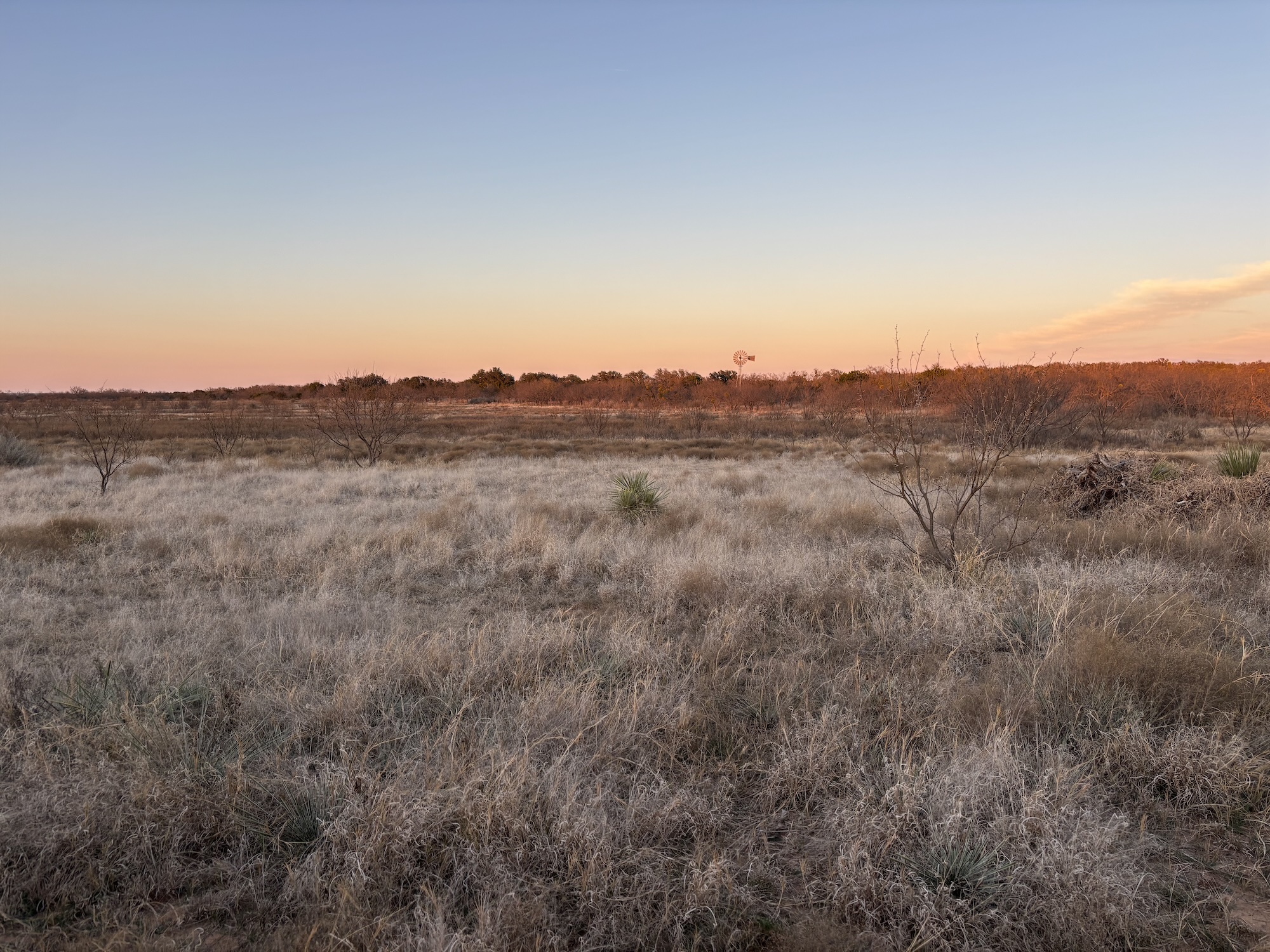 the sun sets over a quiet, grassy field