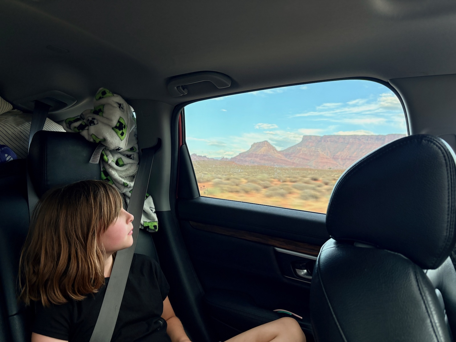 A girl looks out the window of a car at a smoky desert landscape